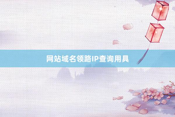 网站域名领路IP查询用具